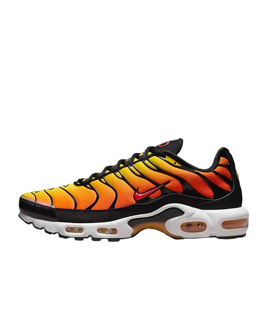 Nike Air Max Plus